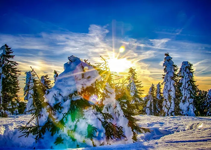 Quattro Lejlighed Loučná pod Klínovcem